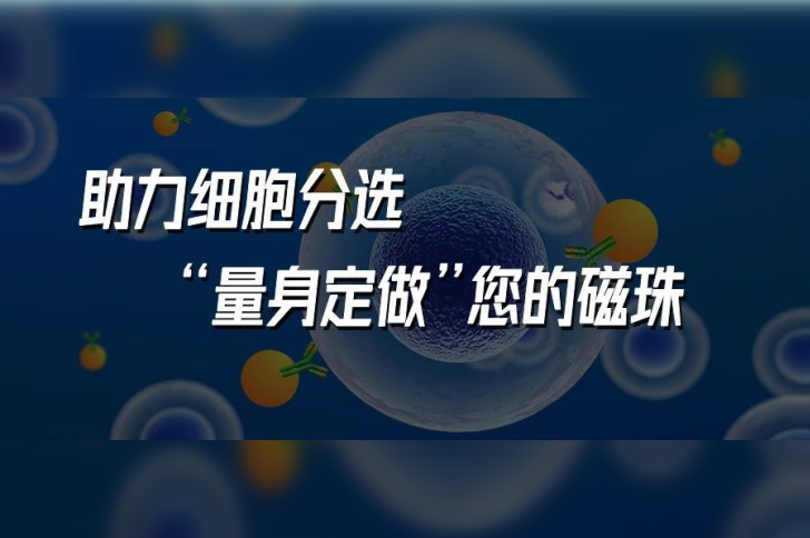 助力细胞分选，“量身定做”您的磁珠