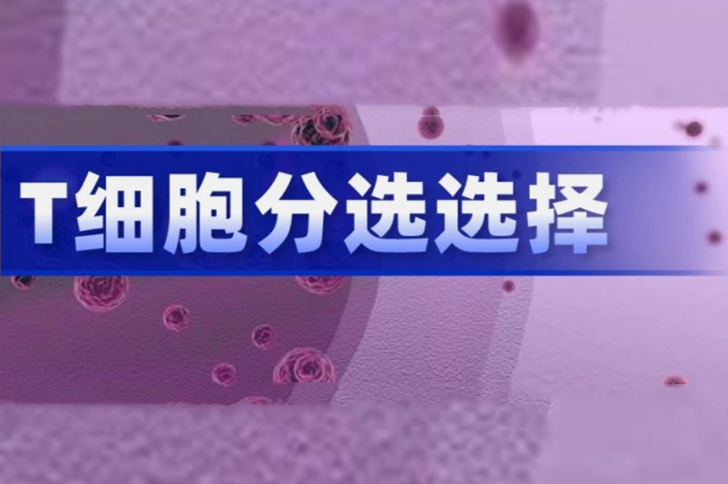 T细胞分离阴选、阳选区别有多大？