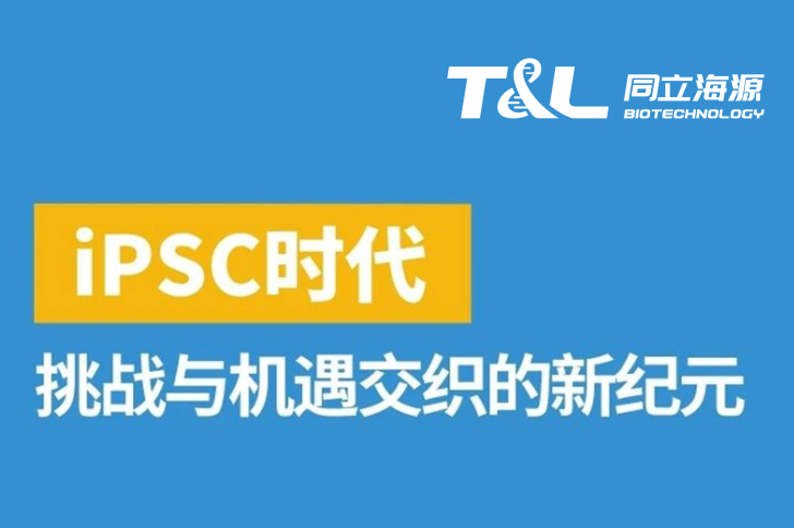 iPSC：挑战与机遇交织的新纪元