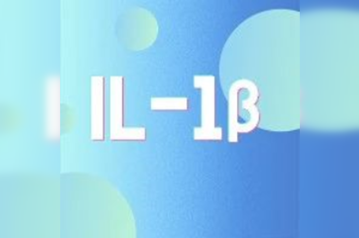 炎症关键靶点 IL-1β：那些你不得不了解的“痛”点