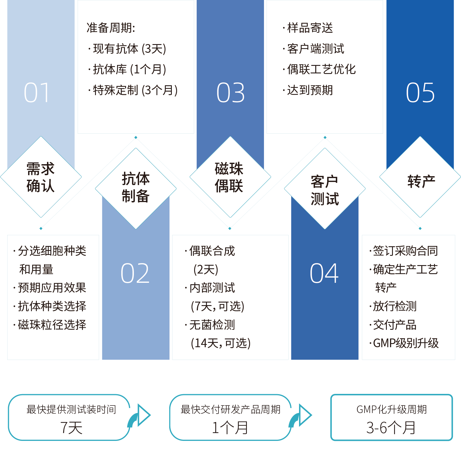 W88优德官网细胞分选激活磁珠/分选磁珠定制，定制流程