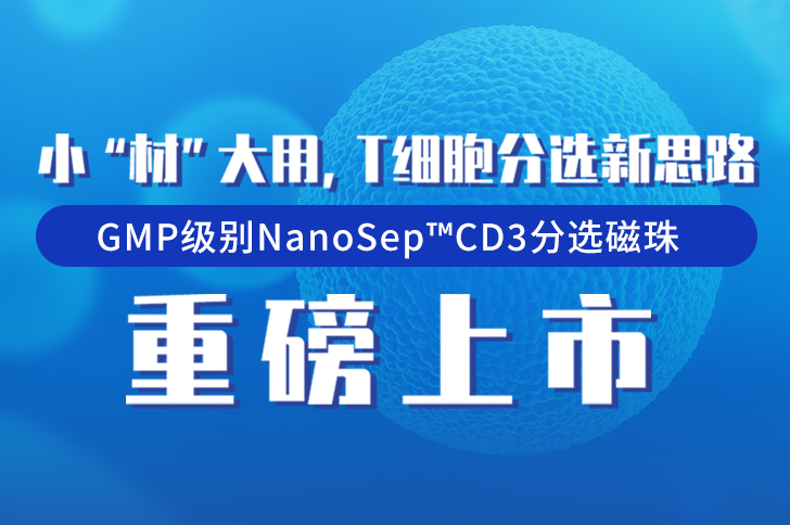 GMP级别CD3分选磁珠重磅上市！