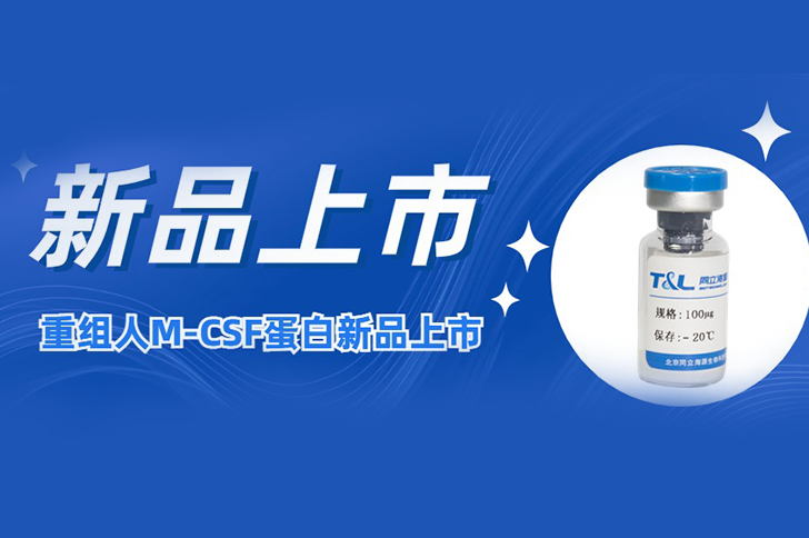 M-CSF | 让您的巨噬细胞更强大！