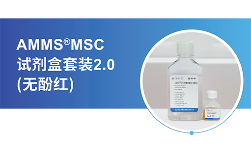 hUMSCs是个“宝”，扩增宝库全靠-AMMS®MSC无血清培养试剂盒