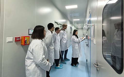 W88优德官网顺利通过欧洲客户审计，加速国际化布局