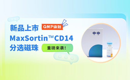 新品上市 | GMP级别MaxSortin™CD14分选磁珠重磅来袭！