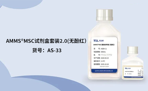 人间充质干细胞培养：挑战与应对之策