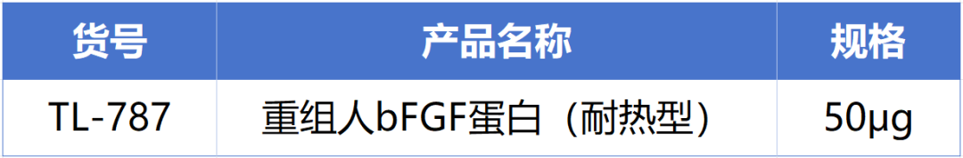 W88优德官网新一代耐热型重组人bFGF蛋白正式发布！高温环境下的修复王者! 
