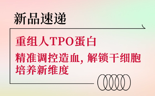 新品速递 | 重组人TPO蛋白震撼上市！精准调控造血，解锁干细胞培养新维度-W88优德官网