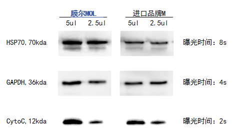 W88优德官网产品推荐：膜尔新材0.45μmPVDF膜—实验数据