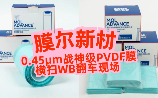 “膜”力加倍！膜尔新材战神级PVDF膜横扫WB翻车现场—0.45μm精准孔径狙杀各类蛋白，背景纯净如冰川