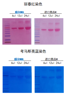 W88优德官网产品推荐：膜尔新材0.45μmPVDF膜—实验数据